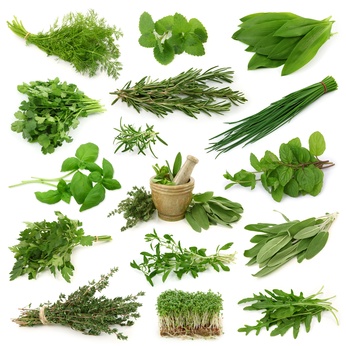 fotolia-22354416-xs.jpg fotolia-22354416-xs.jpg