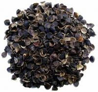 Buckwheat Hulls