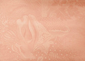 F-100 Pink