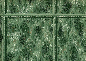 D-6 Green
