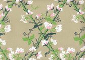 what could be sweeter than sweet peas climbing a diamond shaped grid on a soft clay colored background. Perfect in any country cottage
