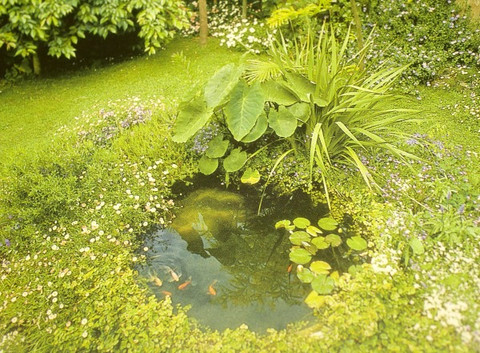 DIY How to install a preformed pond