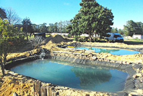 Pond Green Up