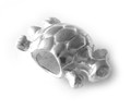 925 Sterling Silver Turtle Charm