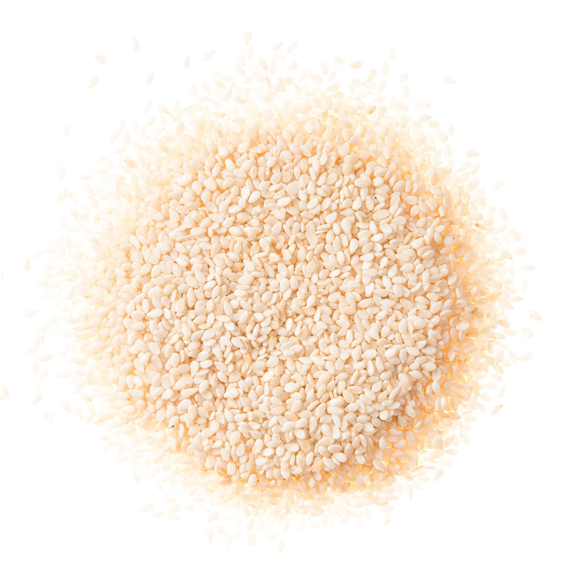 White Hulled Sesame Seed