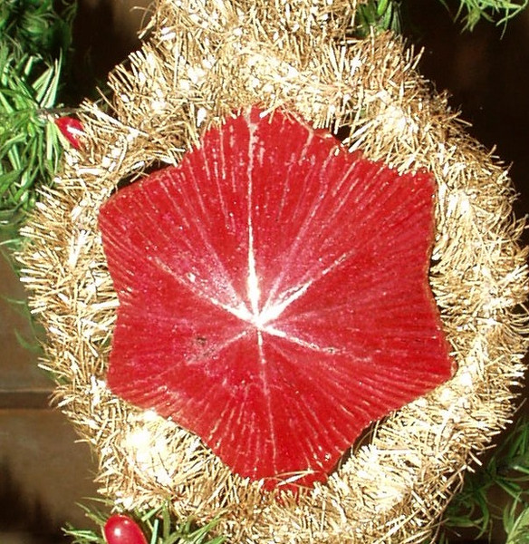 Antique Victorian Glass Star and Tinsel Christmas Ornament