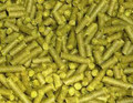 Citra - 1 Lb   2012   2012  Limit 2