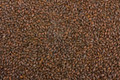 Smoked Malt (Cherry wood)