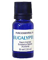 Essential Oil, Eucalyptus Radiata
