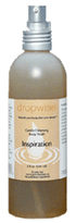 Body Wash, Inspiration