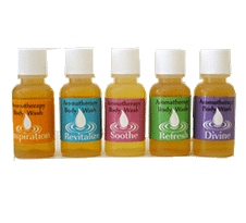 Body Wash Sampler 5 Pack