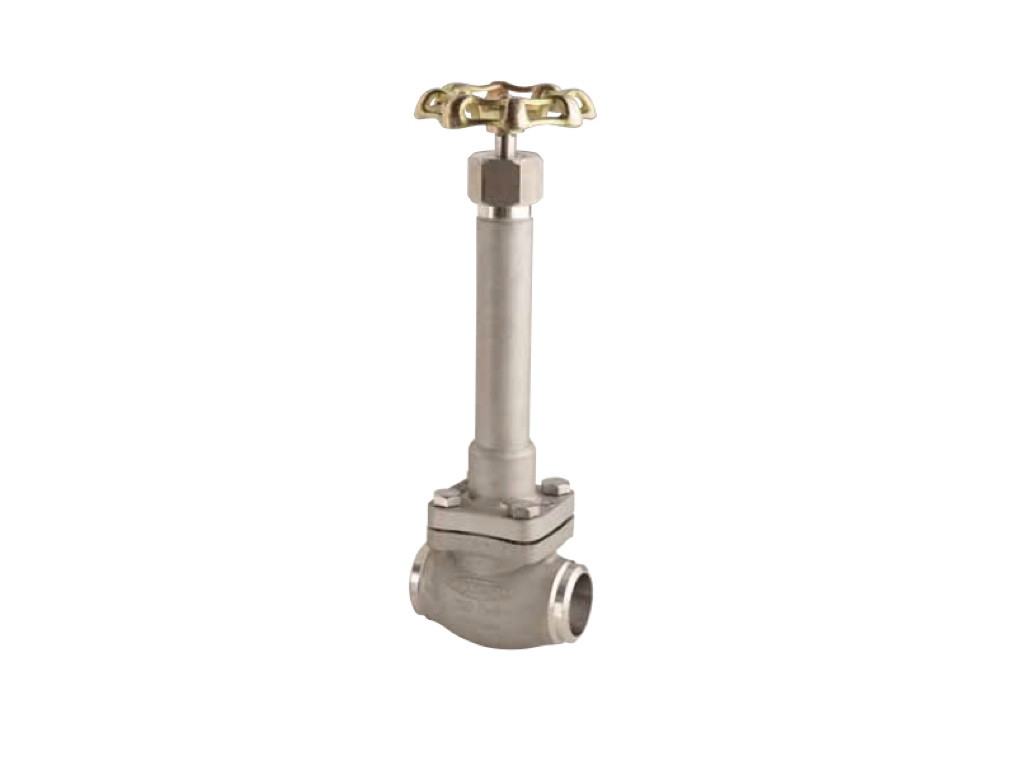 Stainless Steel Globe Valve, Extended Stem