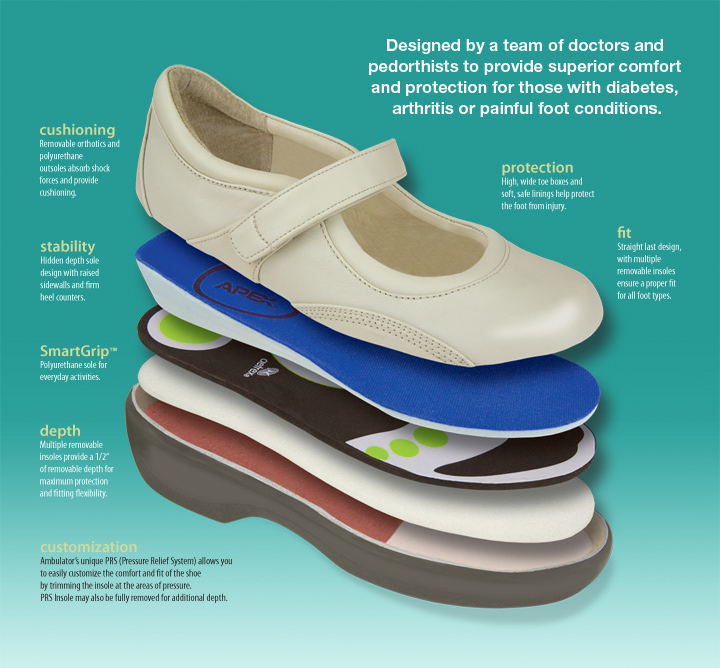 Apex Anatomy Of Our Shoes