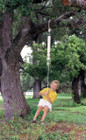 Spring Swing with Disc Seat