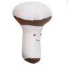 100% Organic Egyptian Cotton