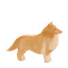 Ostheimer Collie Dog