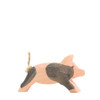 Ostheimer Spotted Piglet, Running