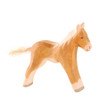 Haflinger Colt by Ostheimer