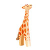 Ostheimer Baby Giraffe, Head High