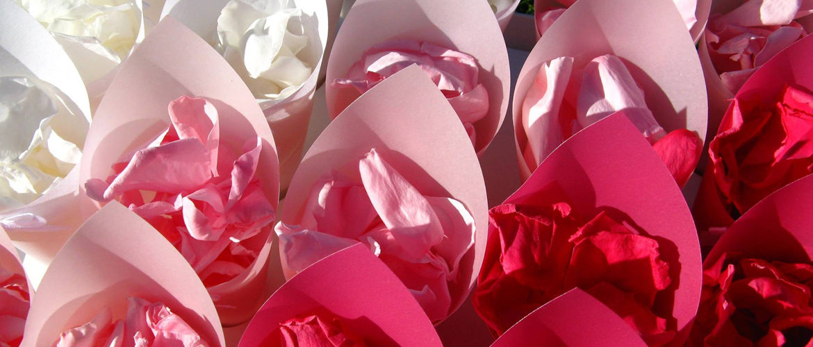 Rose Petals Wedding Petals Ecofriendly Freeze Dried Petals