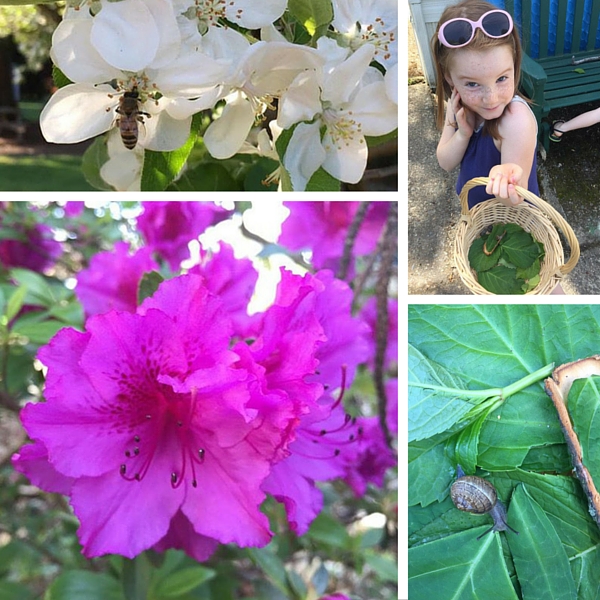 Farm girl flowers coupon code