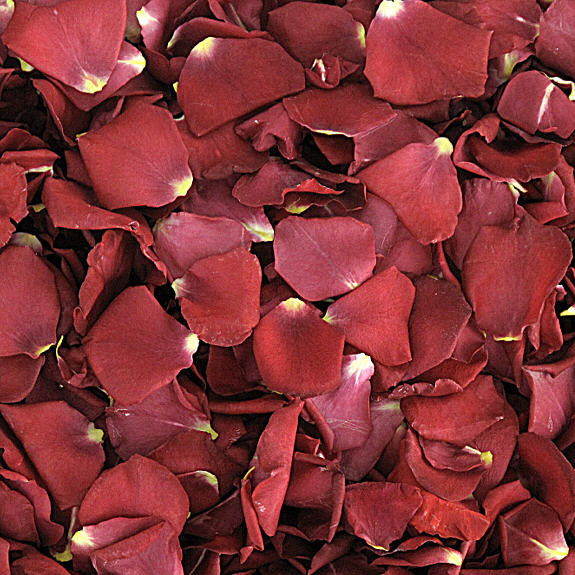 Hot-N-Spicy Preserved Freeze Dried Rose Petals