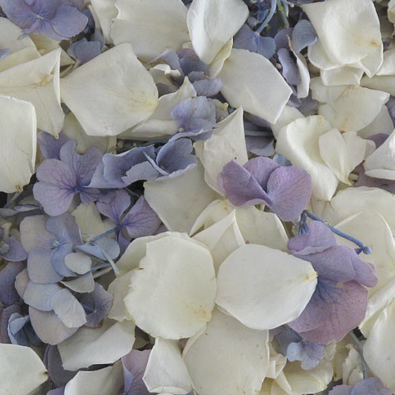 Something Blue Blend Preserved Freeze Dried Rose & Hydrangea Petals