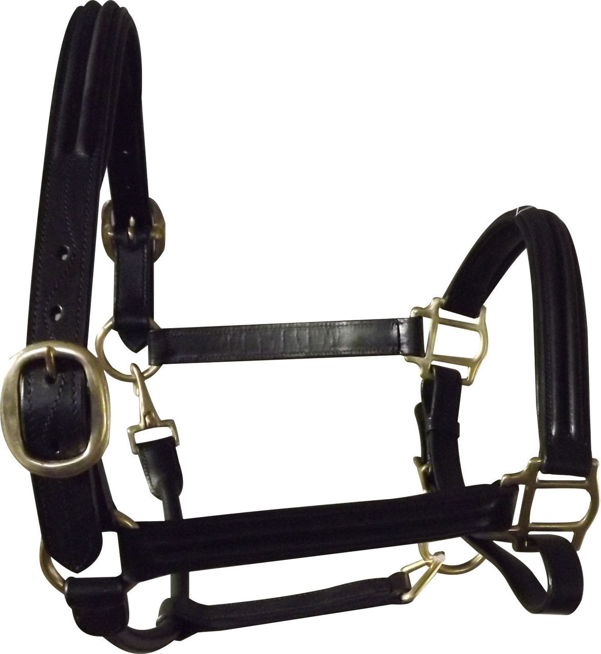Unicorn Black Leather Adjustable Horse Head Collar With Brass Fittings