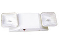 L-1 Emergency Light