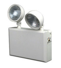 12Volt 100 Watt Emergency Light Unit.