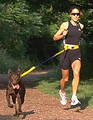 Jog Leash™ / Wonder Leash™
