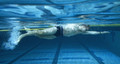 Lane Gainer Competitive Swim Belt : 30 ft. model - Resisted Swim pictured. Water-snake™ $50