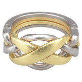 Hanayama Cast Puzzle 25 CAST RING