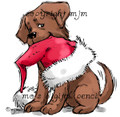 Christmas Puppy
