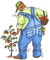 Big Guy's Garden aa