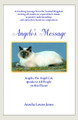 Angelo's Message