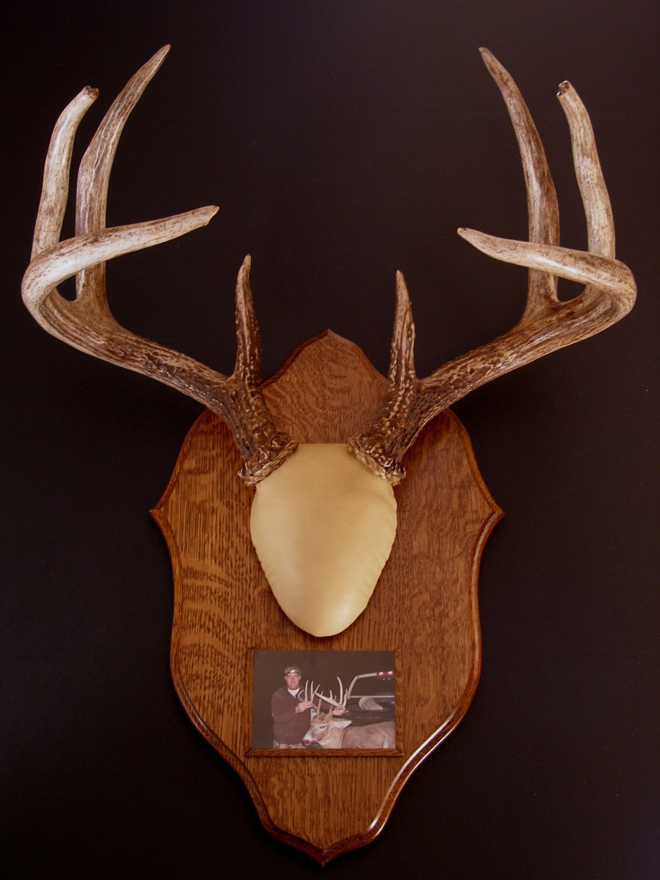 Antler Mount Kit- Traditions Deer - Whiskey Legends