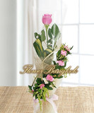 A Pink Rose