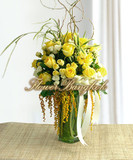 Yellow Roses