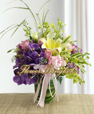 Orchid Delight