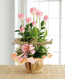 Pink Tulips