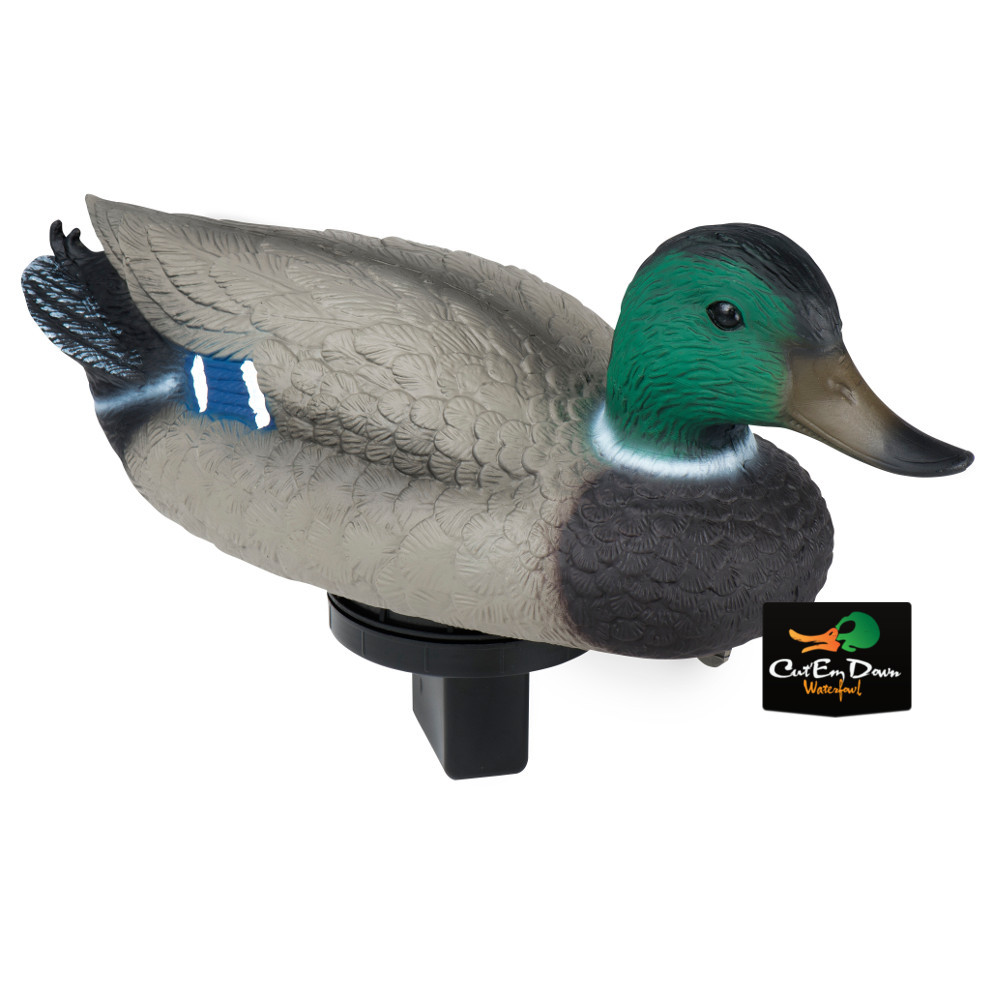 the duck and quiver meaning
