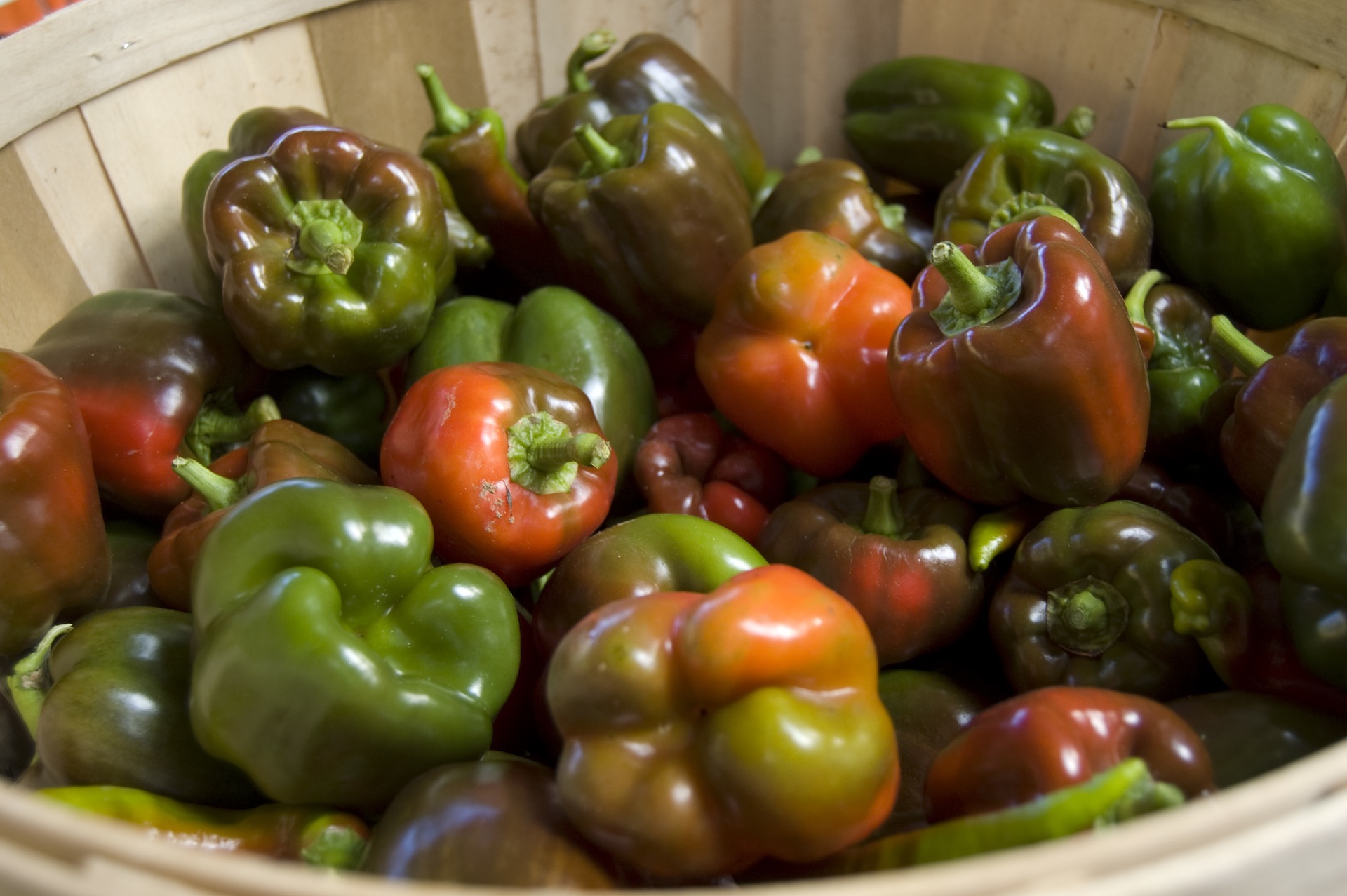 peppers-color.jpg peppers-color.jpg
