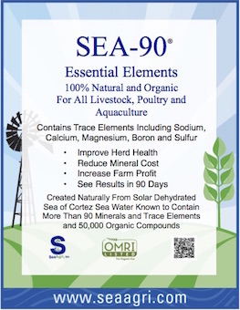 sea-90.jpg sea-90.jpg