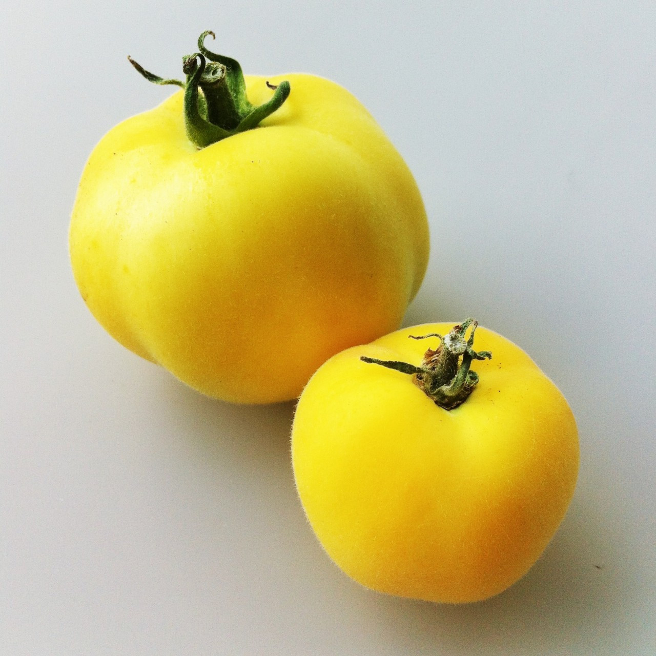Tomato Garden Peach OG Seattle Seed Company Tomato Garden Peach OG Seattle Seed Company