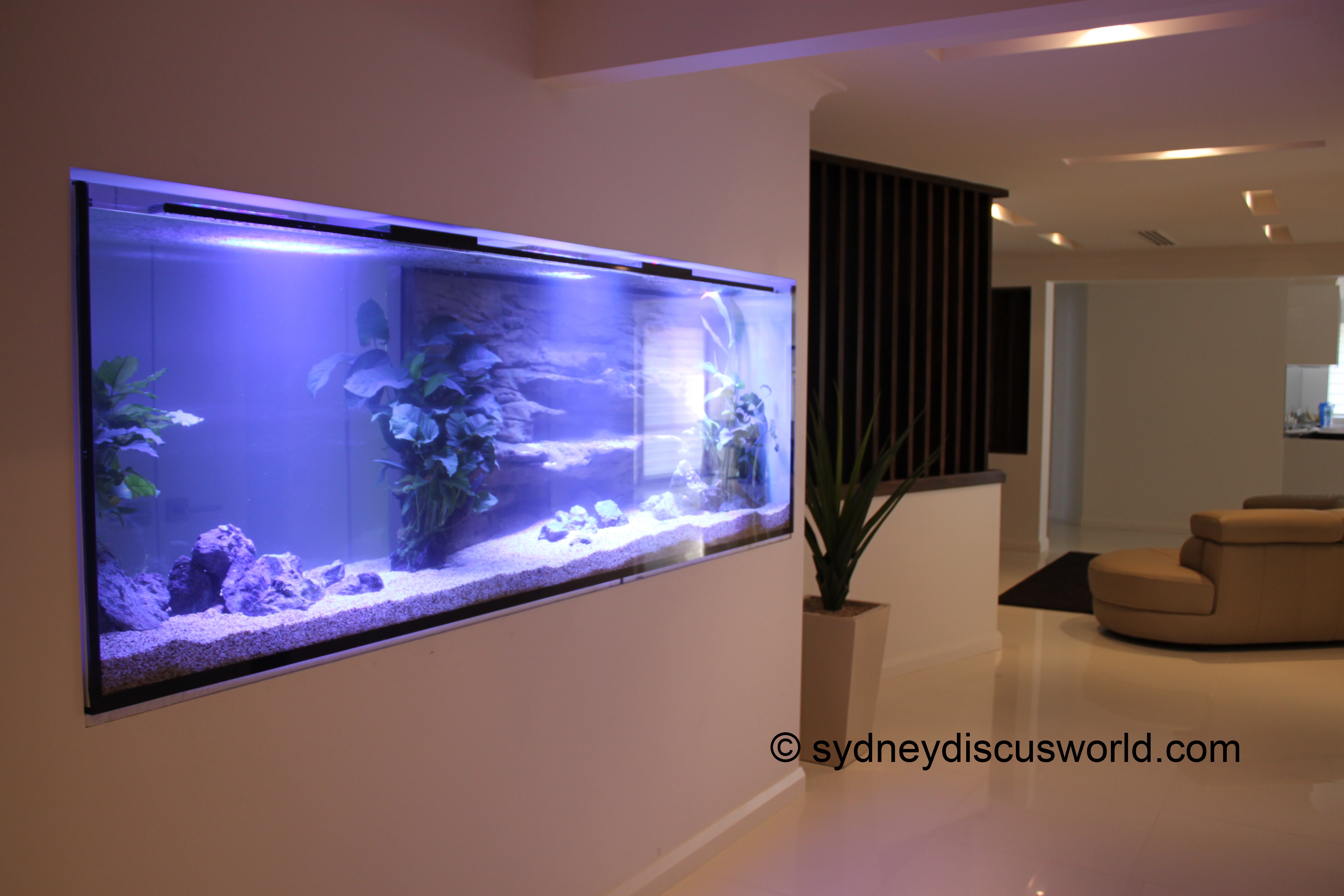 cool modern fish tank setups