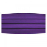 Satin Cummerbund and Bow Tie Set  in Plum