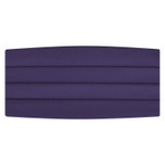 Satin Lapis Purple Cummerbund