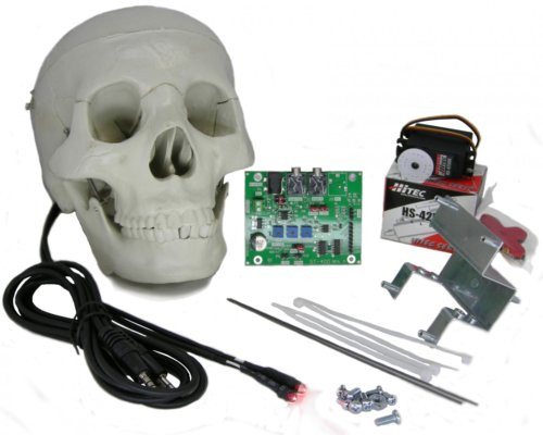 Components of the ST-400 Skull Kit Components of the ST-400 Skull Kit