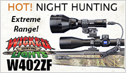 Night Hunting animated-lights4.gif